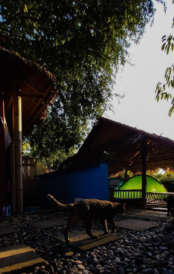 Mapping Hostel Chiang Mai Exterior foto